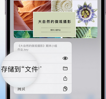 清远apple维修中心分享iPhone文件应用中存储和找到下载文件