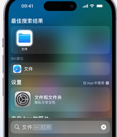 清远apple维修中心分享iPhone文件应用中存储和找到下载文件 