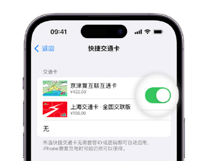 清远apple维修点分享iPhone上更换Apple Pay快捷交通卡手绘卡面 