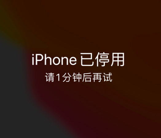 清远苹果手机维修分享:iPhone 显示“不可用”或“已停用”怎么办？还能保留数据吗？ 