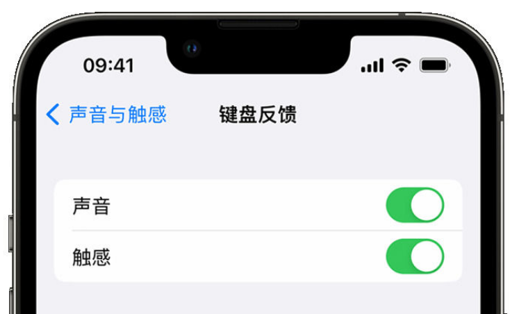 清远苹果手机维修分享iPhone 14触感键盘使用方法 