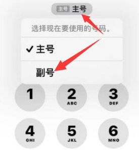 清远苹果14维修店分享iPhone 14 Pro Max使用副卡打电话的方法 