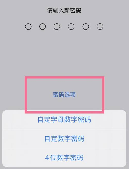 清远苹果14维修分享iPhone 14plus设置密码的方法 