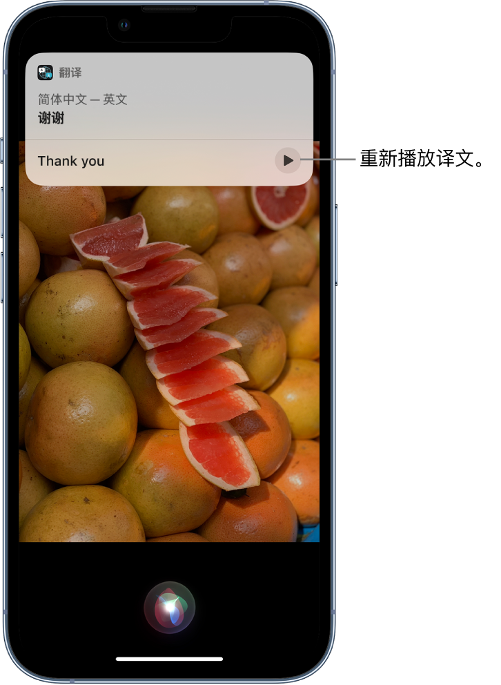 清远苹果14维修分享 iPhone 14 机型中使用 Siri：了解 Siri 能帮你做什么 