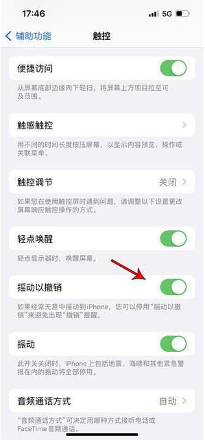 清远苹果手机维修分享iPhone手机如何设置摇一摇删除文字 