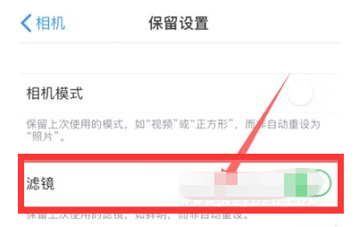 清远苹果13维修分享iPhone13拍照有绿点是怎么回事 