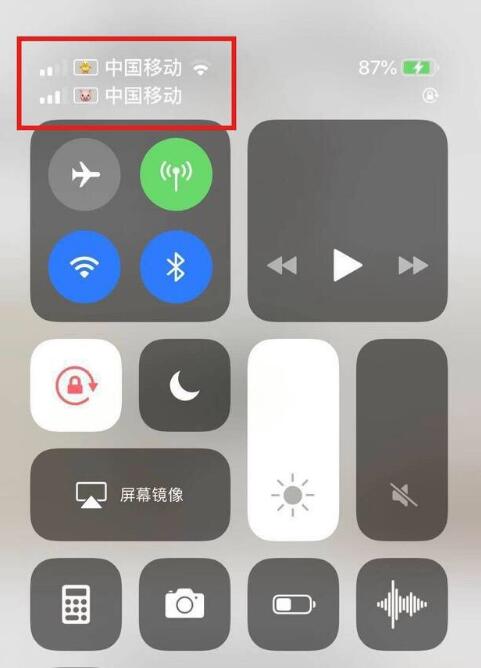 清远苹果手机维修分享为 iPhone 12 双卡设置标签 
